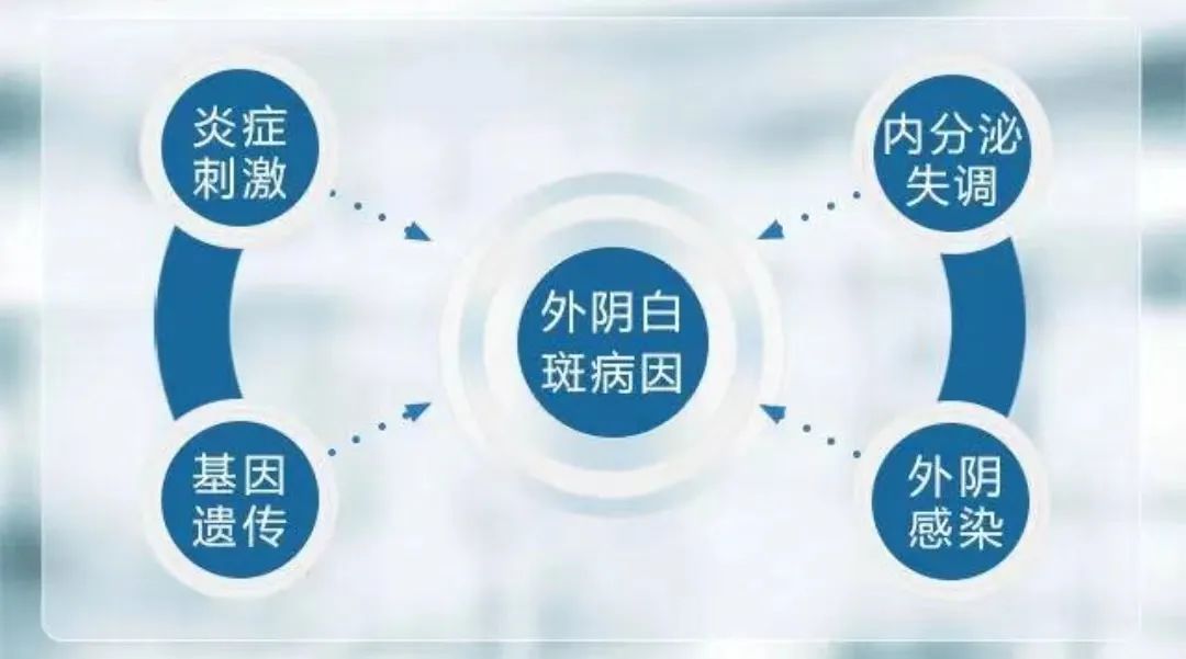 如何做才能降低外阴白斑在治疗后复发? 如何做才能降低外阴白斑在治疗后复发?
