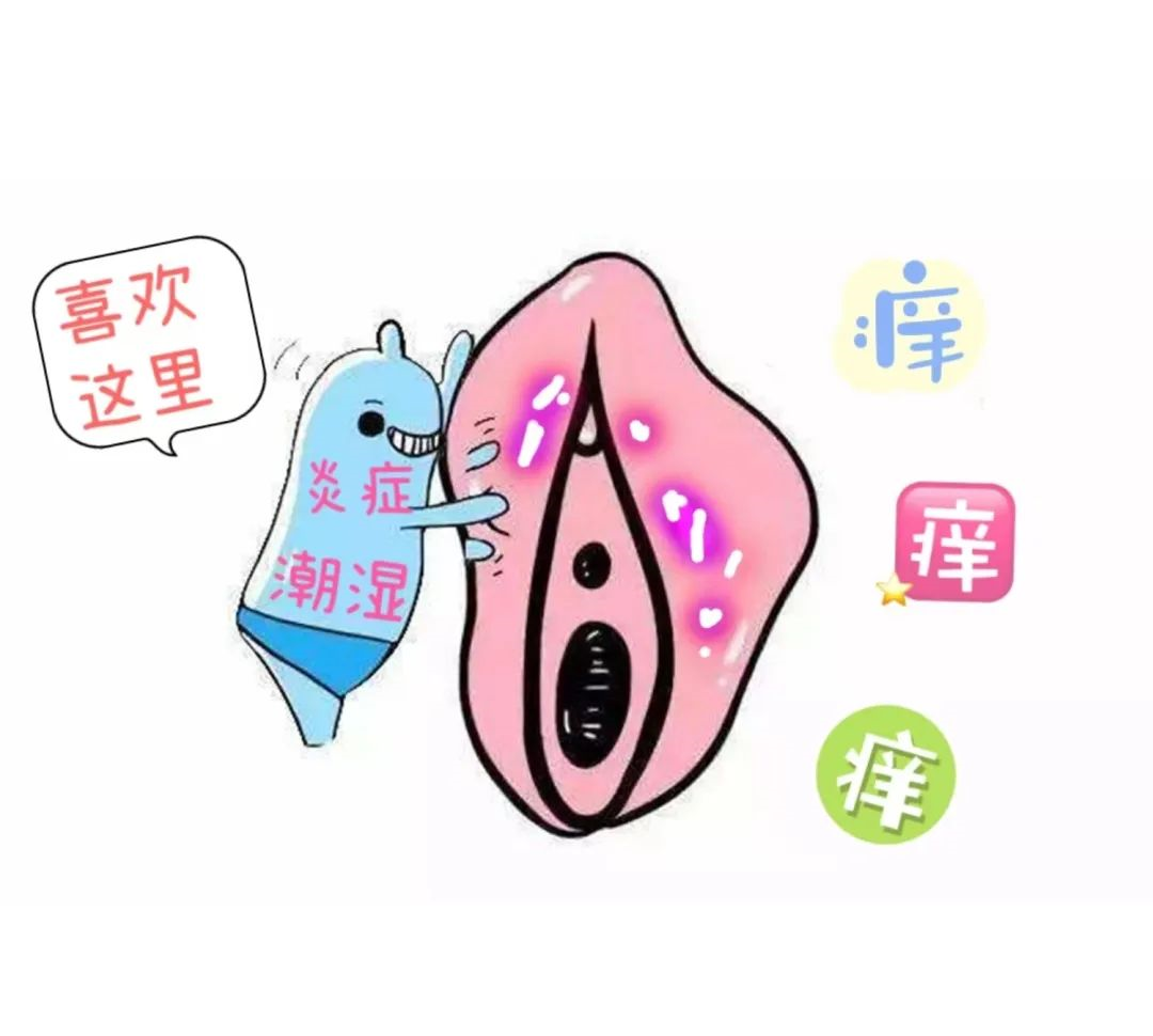 女性的外阴白斑是缺什么营养? 女性的外阴白斑是缺什么营养?