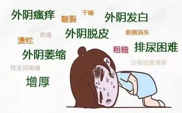 外阴白斑的类型你知道多少? 外阴白斑的类型你知道多少?